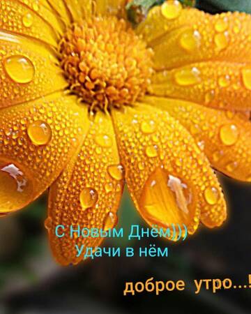 http://upforme.ru/uploads/001a/39/7c/410/t48065.jpg