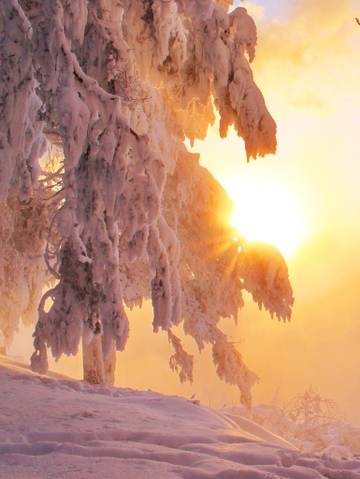 http://upforme.ru/uploads/001a/39/7c/410/t52560.jpg