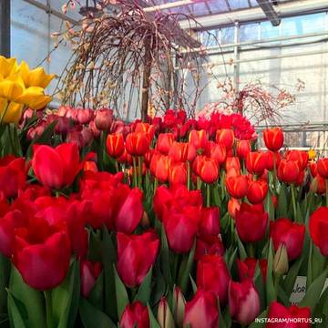 http://upforme.ru/uploads/001a/39/7c/410/t57098.jpg