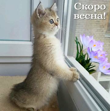 http://upforme.ru/uploads/001a/39/7c/410/t58870.jpg