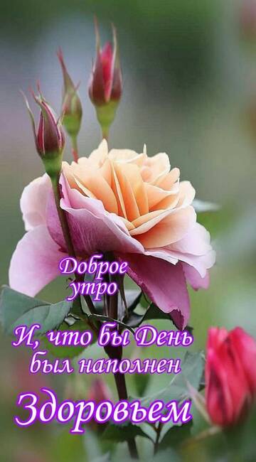 http://upforme.ru/uploads/001a/39/7c/410/t729984.jpg
