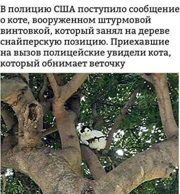 http://upforme.ru/uploads/001a/39/7c/410/t771641.jpg