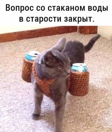 http://upforme.ru/uploads/001a/39/7c/410/t89649.jpg