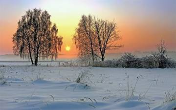 http://upforme.ru/uploads/001a/39/7c/410/t91043.jpg