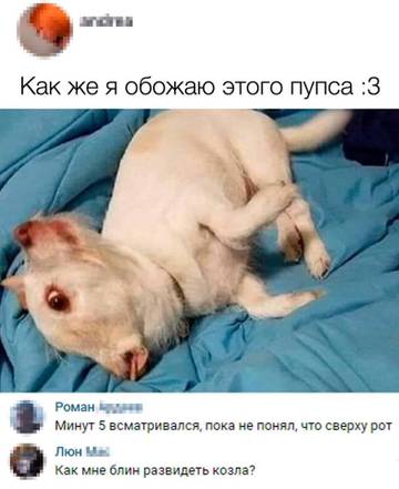 http://upforme.ru/uploads/001a/39/7c/410/t92619.jpg