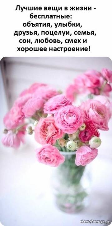 http://upforme.ru/uploads/001a/39/7c/410/t982190.jpg