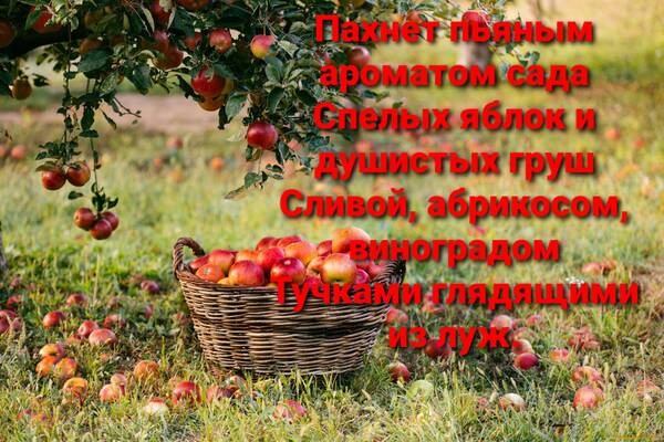 http://upforme.ru/uploads/001a/39/7c/614/t147989.jpg