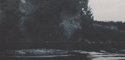 http://upforme.ru/uploads/001a/49/4e/82/t20785.gif
