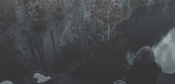 http://upforme.ru/uploads/001a/49/4e/82/t74599.gif