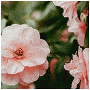 http://upforme.ru/uploads/001a/55/a6/2/23479.gif