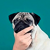 http://upforme.ru/uploads/001a/55/a6/2/729841.png