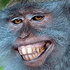 http://upforme.ru/uploads/001a/55/a6/2/781391.png