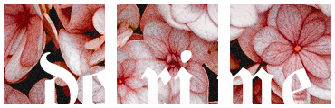 http://upforme.ru/uploads/001a/55/a6/2/853298.png