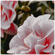 http://upforme.ru/uploads/001a/55/a6/2/855087.gif
