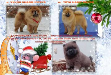 http://upforme.ru/uploads/001a/60/41/22/t31965.jpg