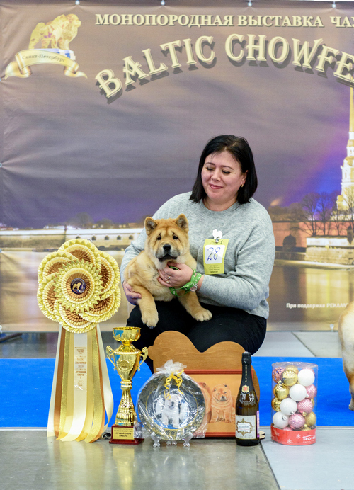 http://upforme.ru/uploads/001a/60/41/61/66668.jpg