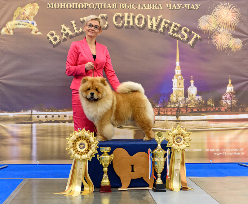 http://upforme.ru/uploads/001a/60/41/61/90112.jpg