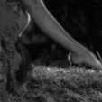 http://upforme.ru/uploads/001a/62/8f/80/94163.gif