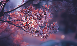 http://upforme.ru/uploads/001a/6d/60/57/876753.png