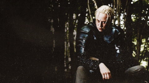 http://upforme.ru/uploads/001a/6e/70/35/735767.gif