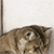 http://upforme.ru/uploads/001a/72/4f/160/28307.gif