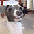 http://upforme.ru/uploads/001a/72/4f/160/43087.gif