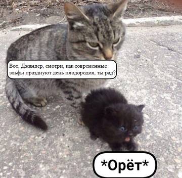 http://upforme.ru/uploads/001a/76/8e/68/t581040.jpg