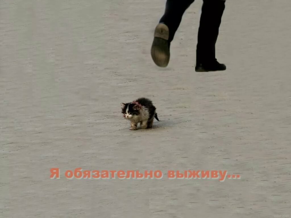 http://upforme.ru/uploads/001a/7a/02/12/378996.jpg