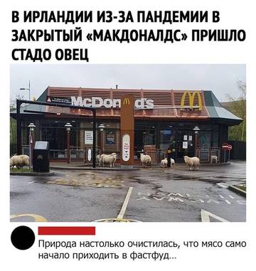http://upforme.ru/uploads/001a/7a/02/21/t771146.jpg