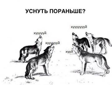 http://upforme.ru/uploads/001a/7a/02/21/t825239.jpg