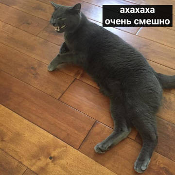 http://upforme.ru/uploads/001a/7a/02/46/t837557.jpg
