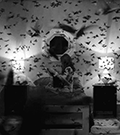 http://upforme.ru/uploads/001a/7a/e4/3/731987.gif