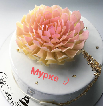 http://upforme.ru/uploads/001a/7d/a0/8/t426884.png