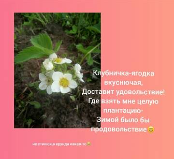 http://upforme.ru/uploads/001a/7d/a0/8/t918869.jpg
