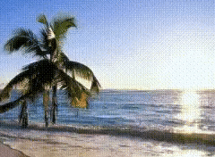 http://upforme.ru/uploads/001a/7e/36/2/24630.gif