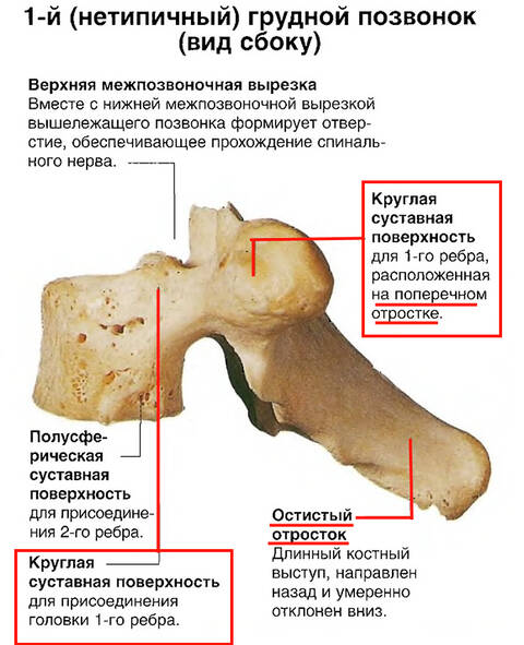 http://upforme.ru/uploads/001a/7e/41/2/t173685.jpg