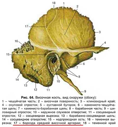 http://upforme.ru/uploads/001a/7e/41/2/t242528.jpg