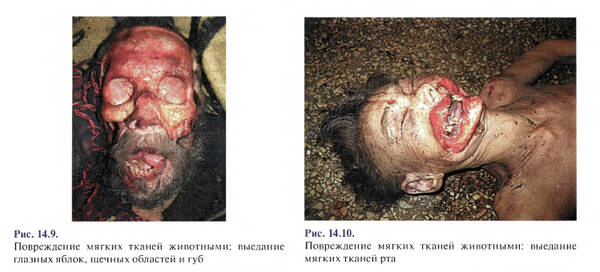 http://upforme.ru/uploads/001a/7e/41/2/t440108.jpg