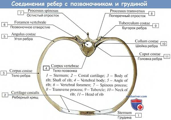 http://upforme.ru/uploads/001a/7e/41/2/t592752.jpg