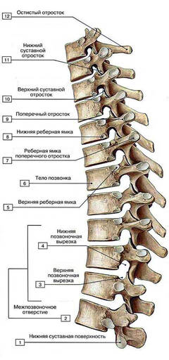 http://upforme.ru/uploads/001a/7e/41/2/t661937.jpg