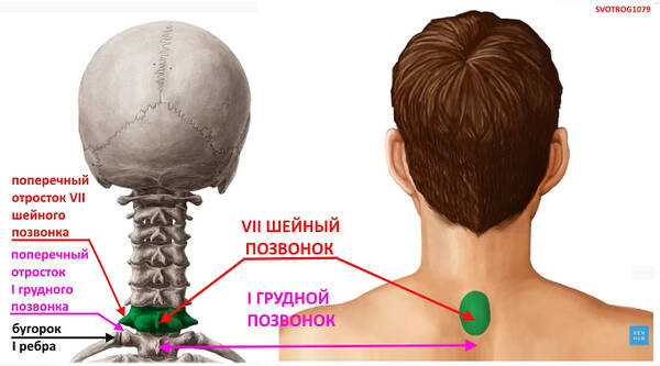 http://upforme.ru/uploads/001a/7e/41/2/t758528.jpg
