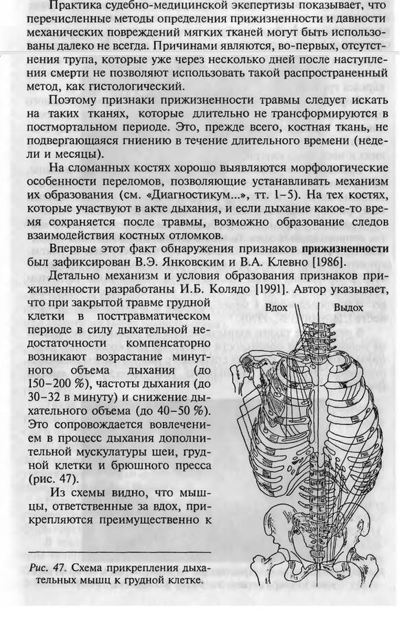 http://upforme.ru/uploads/001a/7e/41/2/t809346.jpg