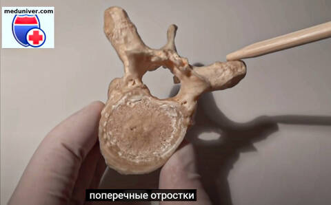 http://upforme.ru/uploads/001a/7e/41/2/t809715.jpg