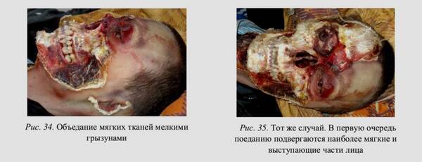 http://upforme.ru/uploads/001a/7e/41/2/t836143.jpg
