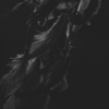 http://upforme.ru/uploads/001a/80/b7/2/852270.png