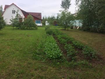 http://upforme.ru/uploads/001a/81/1a/4/t13946.jpg
