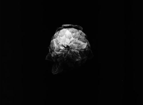 http://upforme.ru/uploads/001a/84/ef/4/480871.gif