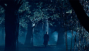 http://upforme.ru/uploads/001a/8a/6e/9/t350602.gif