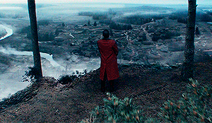 http://upforme.ru/uploads/001a/8a/6e/9/t999156.gif