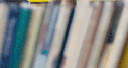 http://upforme.ru/uploads/001a/8a/91/2/24046.gif